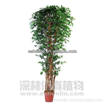 High quality Artificial Ficus tree/plastic ficus tree